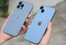 Mana yang Lebih Menarik? Ini Perbandingan iPhone 13 Pro vs iPhone 14 Plus