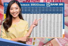 Debitur BRIguna Purna Meninggal Dunia, Apakah Utang Menjadi Lunas?