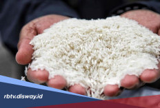 Lagi Ramai Diperbincangkan, Apa Itu Beras Fortifikasi? Ini Penjelasannya