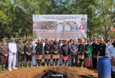 Bupati Seluma Tanam Pohon Gaharu di Puncak HUT Seluma Ke 23 Tahun