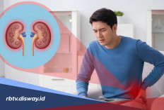 Jangan Sepelekan! Ini 9 Kebiasaan yang Membuat Ginjal Anda Cepat Rusak
