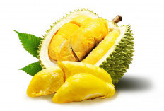 Habis Makan Durian, Ini Makanan dan Minuman yang Sebaiknya Dihindari
