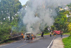 Daihatsu Terrios Milik Pensiunan ASN Terbakar di Liku Sembilan, Begini Kondisi Sopirnya
