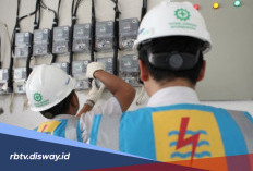 Gaji Pegawai PT PLN Berdasarkan Posisi dan Grade