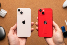 Sebaiknya Pilih yang Mana? Ini Perbandingan iPhone 13 vs iPhone 14 Pro