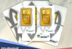 Update Harga Emas Hari Ini: Antam, Galeri24 dan UBS Kompak Naik di Level Rp 3 Jutaan