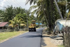 Pemkab Mukomuko Usulkan Perbaikan 7 Ruas Jalan ke Pemerintah Pusat, Ini Titiknya   