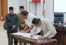 Tahun Depan Seluruh Perusahaan Kelapa Sawit di Bengkulu Wajib Bayar Pajak Air Permukaan