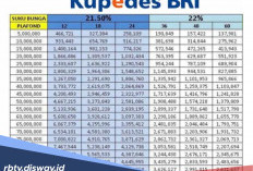 Kupedes BRI Pinjaman Rp 100 Juta, Apa saja Syarat yang Diperlukan?
