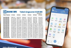 Tabel Angsuran KUR BRI 2026 Pinjaman Rp 40 Juta, Proses Pengajuannya Mudah Tanpa Jaminan