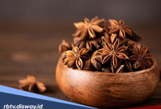 Sering Konsumsi Bunga Lawang? Berikut 6 Khasiatnya untuk Kesehatan 