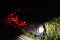 Lahan Kebun Sawit di Talang Sali Kabupaten Seluma Terbakar