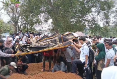 Ratusan Orang Antar Pemakaman Fahrah di TPU Padang Cengkeh Sukarami