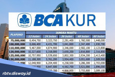 Tabel Cicilan KUR BCA Rp100 Juta Terbaru, Solusi Tambah Modal UMKM