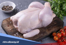 Jangan Asal Beli, Kenali Ciri-ciri Daging Ayam Berformalin