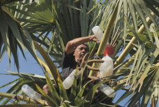 Desa Hendrosari Bangkit: Pembeli Datang, UMKM Tumbuh, Ekonomi Melaju Berkat Pemberdayaan Desa BRILian