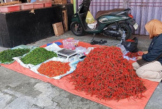 Di Rejang Lebong, Harga Cabe Merah Turun sedangkan Cabe Hijau Naik