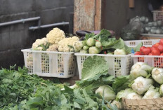 Mengenal Desa BRILian Sumowono, Desa Sayur yang Tumbuh dan Terus Berinovasi Bersama BRI 