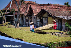 Modal Usaha UMKM Rp 70 Juta Cair, Ini Simulasi Angsuran KUR BRI Juni 2026