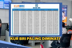 Pinjam KUR BRI Rp 50 Juta Apakah Bisa Bayar Angsuran Rp 500 Ribu per Bulan? Cek Simulasi Berikut 