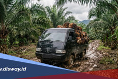 Rekomendasi Ban Mobil Pick Up yang Cocok untuk Jalan Lumpur dan Perkebunan Sawit