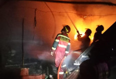Rumah dan 4 Unit Sepeda Motor Terbakar di Kota Bengkulu, Warga Berjibaku Selamatkan Pemilik Rumah yang Stroke