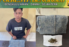 Ungkap Kasus Narkoba, Residivis Kasus Pidum Kembali Dibekuk Polisi