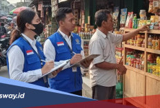 Honor Petugas Sensus Ekonomi Tembus Rp 5 Juta per Bulan?