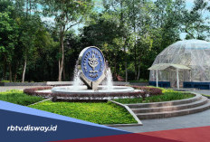 Lowongan Kerja 50 Dosen dan 67 Tenaga Kependidikan Kontrak IPB University 2026, Ini Syaratnya