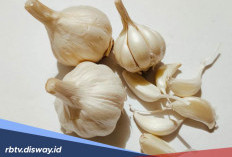8 Manfaat Bawang Putih untuk Kesehatan, Begini Cara Mengolahnya