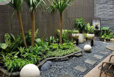 4 Inspirasi Taman Samping Rumah Minimalis, Bikin Hunian Asri dan Sejuk