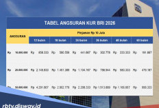 Tabel Angsuran KUR BRI Rp 55-70 Juta, Ini Syarat Dokumen Wajib yang Harus Ada