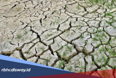 Daftar 8 Wilayah Tanpa Hujan Terlama, Apakah Wilayahmu Termasuk? 