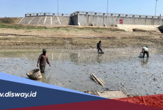 Untung Rugi Keringnya  Sungai Silugonggo atau Sungai Juwana di Pati