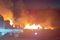 Diduga Akibat Puntung Rokok, Lahan Kering Dekat Dinas Perikanan Seluma Terbakar