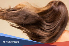 Cara Memanjangkan Rambut dengan Cepat Pakai Bahan Alami