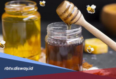 Cara Membedakan Madu Asli dan Madu Campuran dengan Tes Air, Jangan Sampai Tertipu