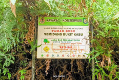 Pemkab Seluma Usulkan  Status Enclave ke Kementerian Lingkungan Hidup dan Kehutanan