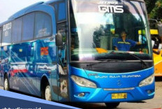 Mau Mudik Pakai Bus Gajah Mulia Sejahtera? Catat Berikut Harga Tiket dan Rute Terbarunya