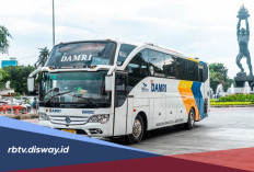 Perum Damri Lagi Buka Lowongan Kerja untuk Lulusan S1, Simak Persyaratannya