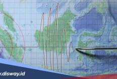Video Ramalan Gempa M 9 Bakal Guncang Indonesia Bikin Heboh, BMKG Bilang Begini