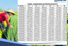 Solusi Modal Tanpa Pusing Cicilan Bulanan untuk Petani, Kupedes BRI 2026 Bisa Bayar Pas Panen