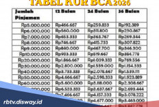 Tabel Angsuran KUR BCA Pinjaman Rp 50 Juta dan Tips Pengajuan Supaya Disetujui Bank