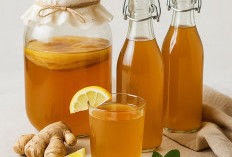 Kenalan Sama SCOBY Yuk! Bagaimana Cara Membuat dan Merawatnya Supaya Bisa Jadi Kombucha
