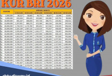 Tabel Angsuran KUR BRI Pinjaman Rp 15 Juta dan Ciri-ciri Pengajuan KUR Ditolak Bank