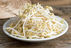 Suka Makan Toge? Ini Manfaatnya untuk Kesehatan Tubuh