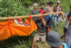 Ini Identitas Mayat Perempuan yang Ditemukan di Kepahiang, Ternyata Warga Rejang Lebong