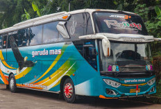 Harga Tiket Bus PO Garuda Mas Maret 2026 ke Berbagai Kota di Pulau Jawa