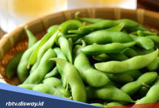 Camilan yang Direkomendasikan untuk Orang yang Sedang Diet, Tetap Bisa Ngemil Tanpa Rasa Bersalah