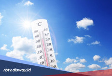 10 Wilayah dengan Suhu Terpanas Menurut BMKG, Daerahmu Termasuk?